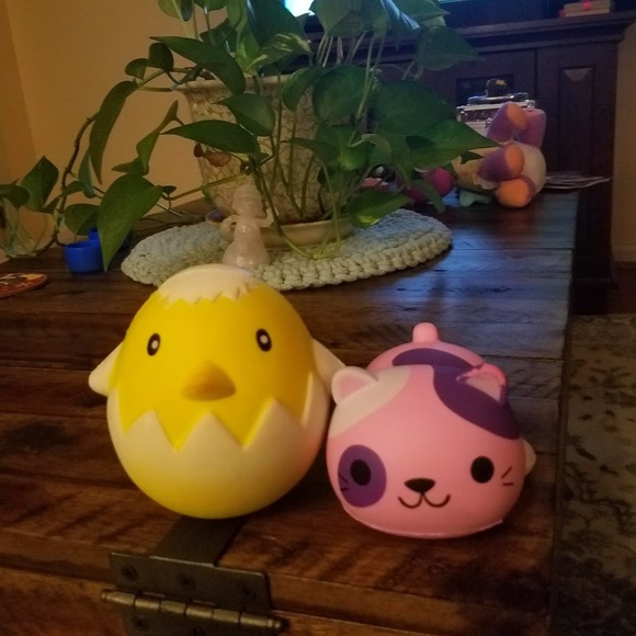 Meet your Posher, Maddie - Picture 1 of 1